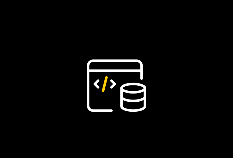 Database Developer